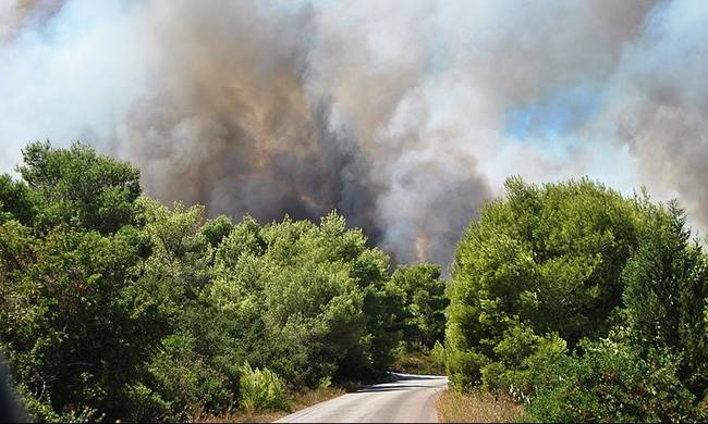 Εντοπίστηκαν εμπρηστές στη Ζάκυνθο - Μεγάλη επιχείρηση για τη σύλληψή τους.